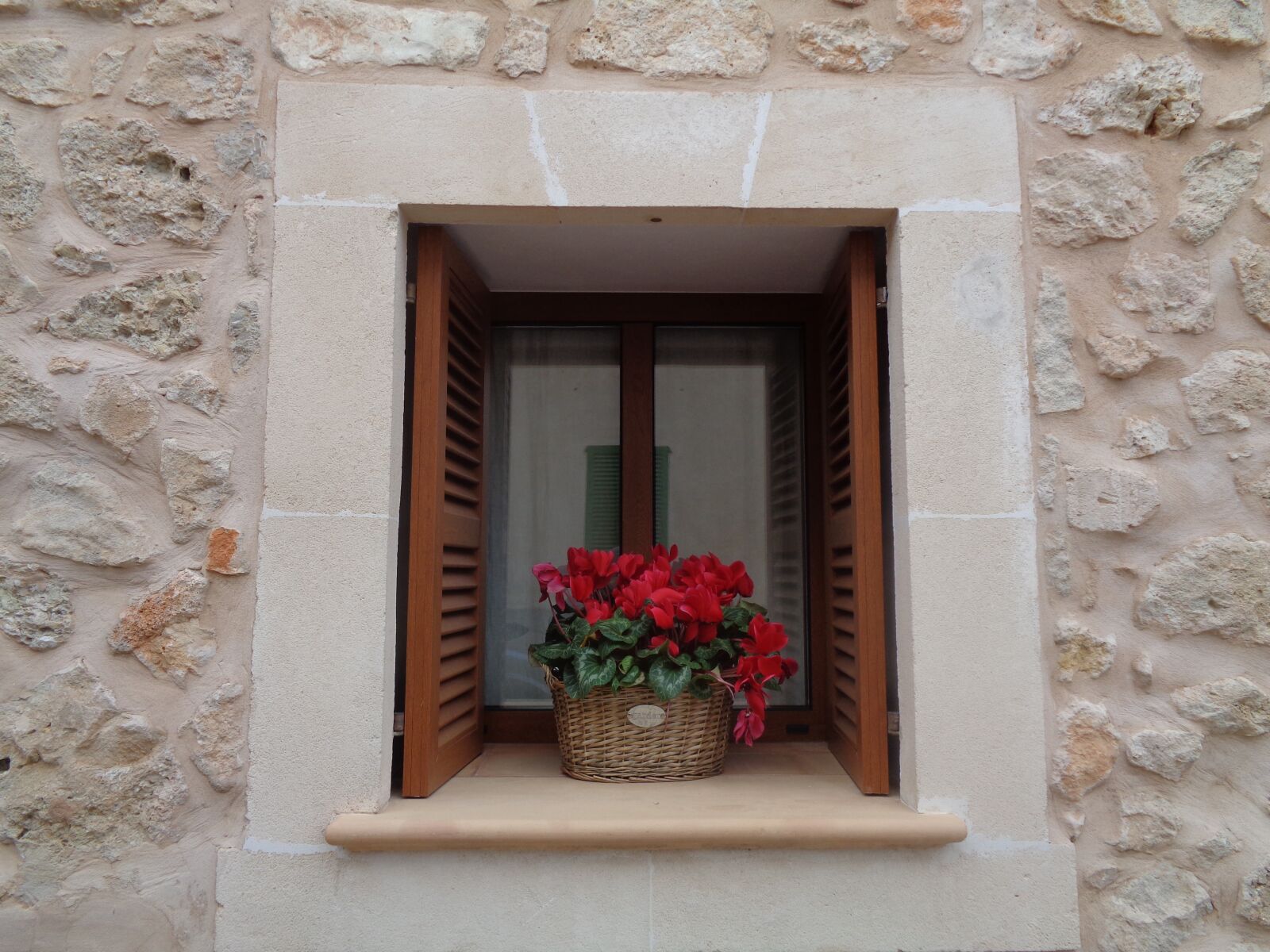 Sony Cyber-shot DSC-W830 sample photo. Window, flowers, basket photography