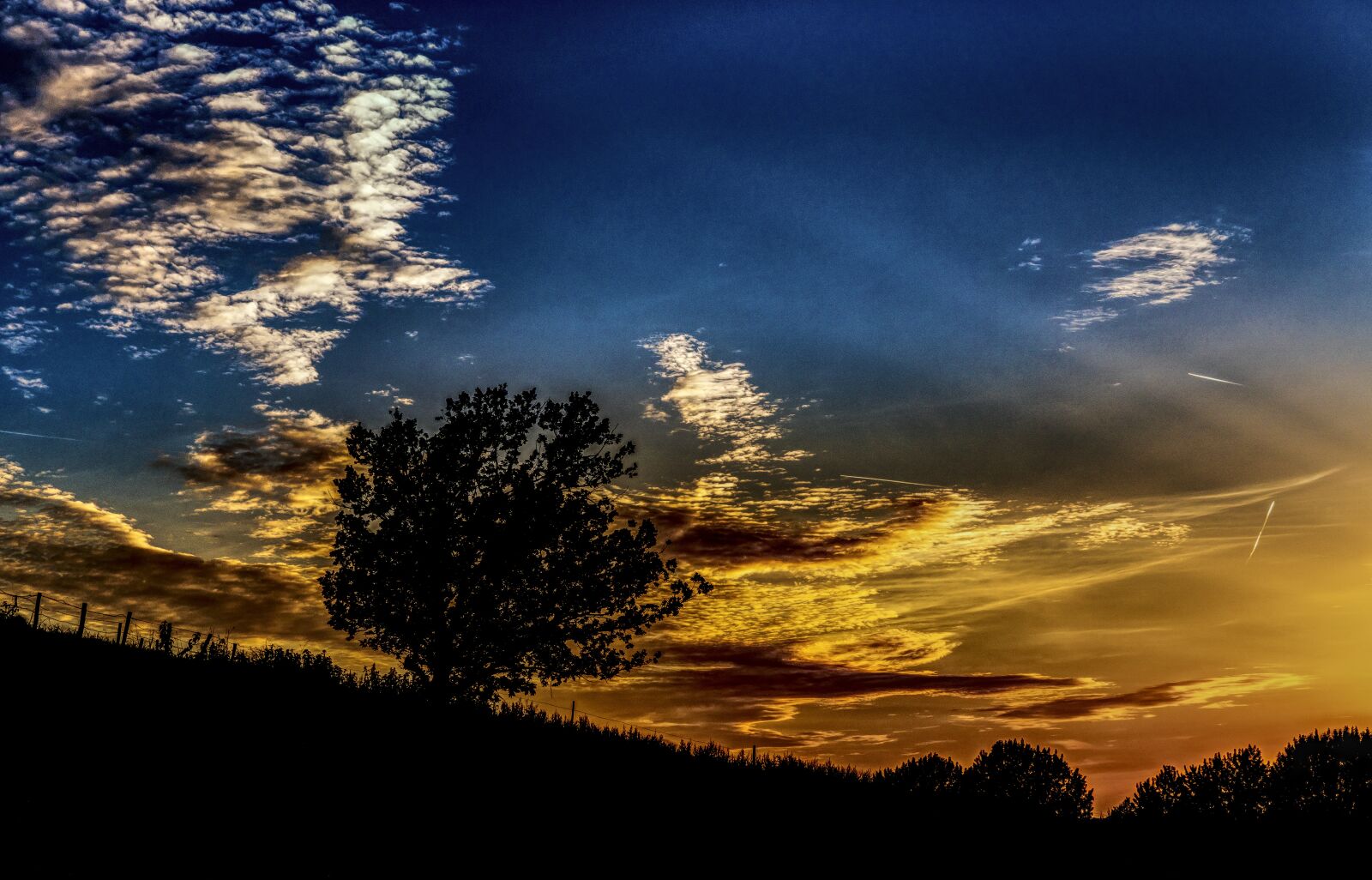 Sony a6300 + Sigma 30mm F2.8 EX DN sample photo. Silhouette, sunset, sky photography