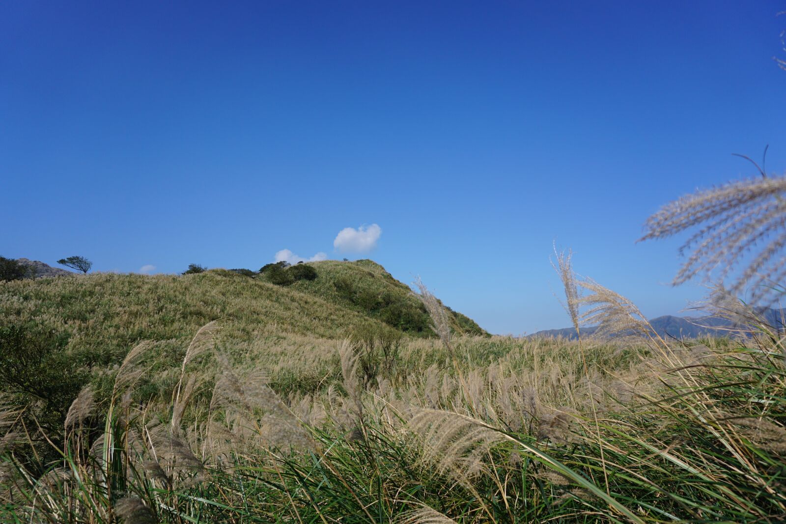 Sony E 16-50mm F3.5-5.6 PZ OSS sample photo. Nature, sky, lawn photography