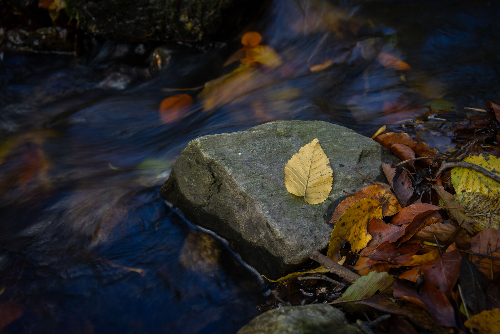 Samyang AF 35mm F1.8 FE sample photo. The beauty lies in photography