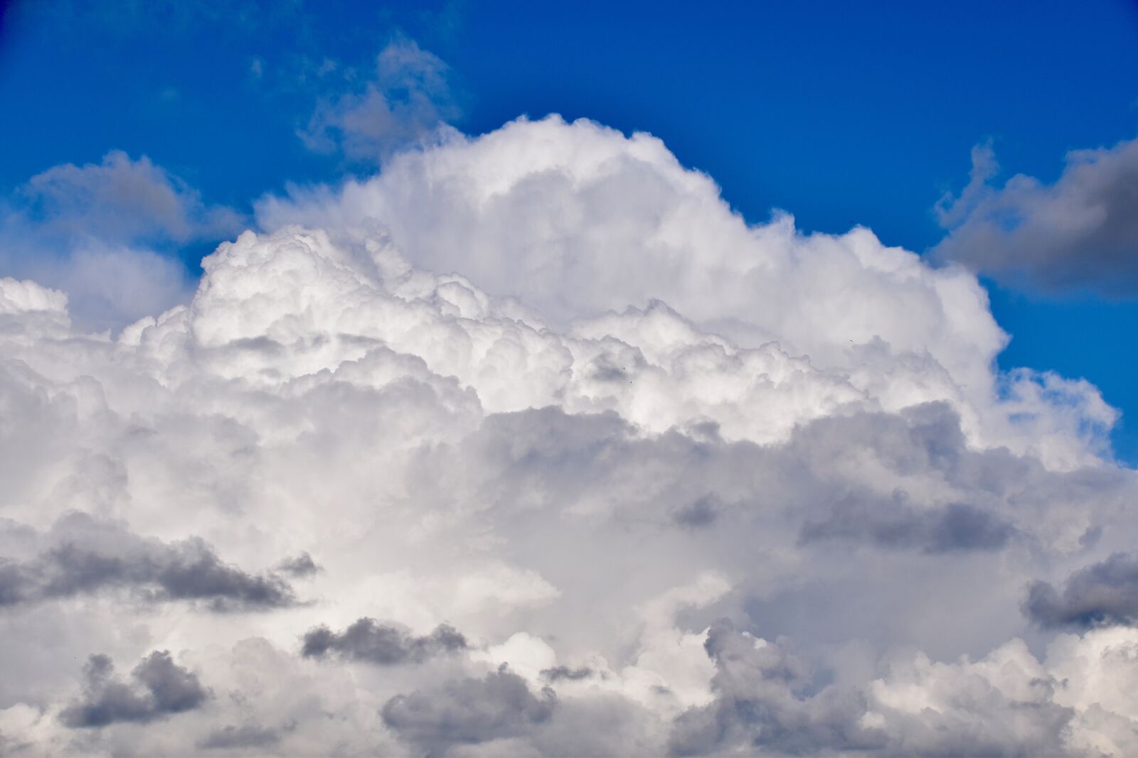 Nikon D5600 sample photo. Clouds, blue sky, cloudy photography