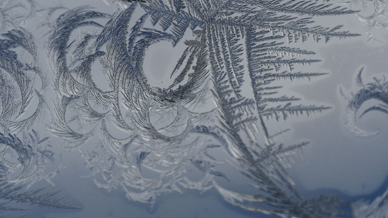 Panasonic Lumix DMC-GH4 sample photo. Frost, frosted, glass, macro photography