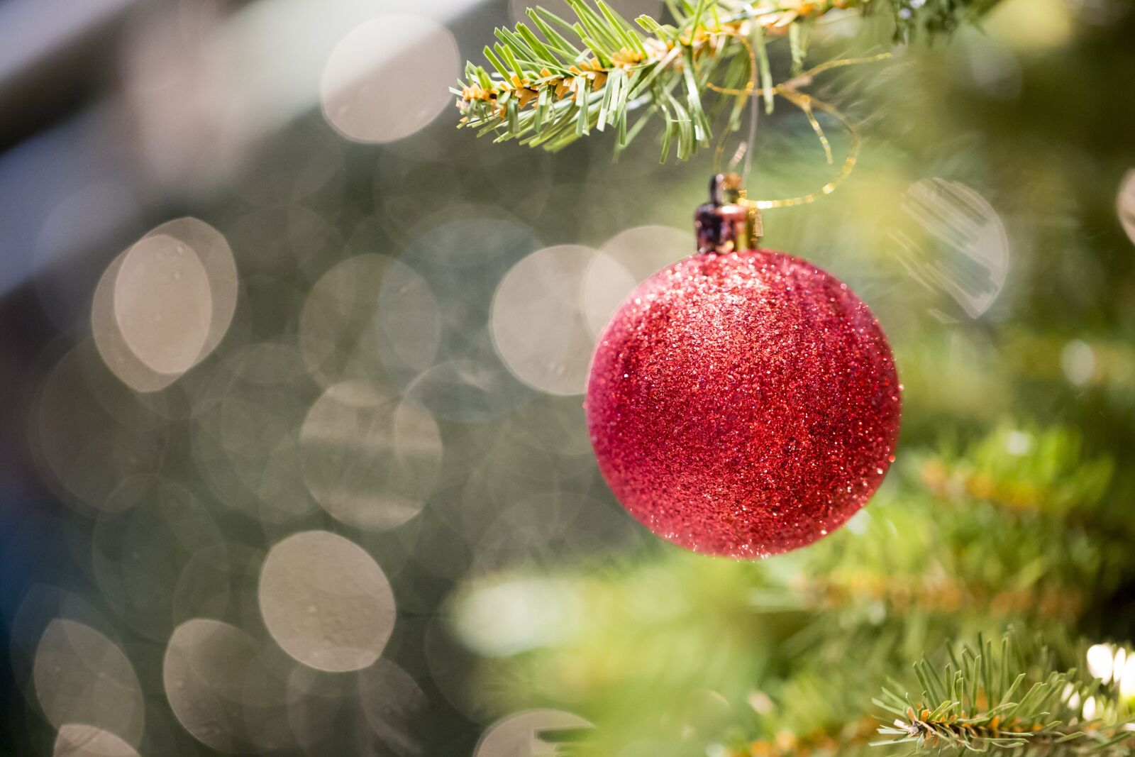 Canon EF 100mm F2.8L Macro IS USM sample photo. Christmas, decoration, glass ornament photography