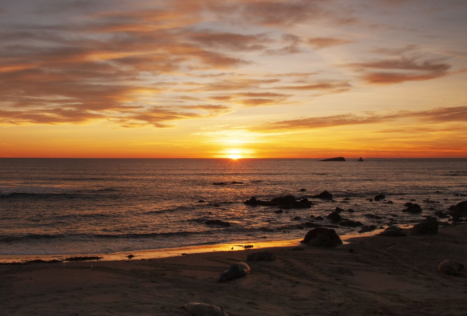 Canon EOS 5D + Canon EF 24-105mm F4L IS USM sample photo. United states, california, beach photography