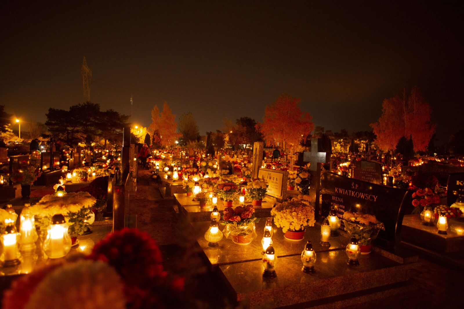 Nikon D800E sample photo. Night, cemetery, the tomb photography