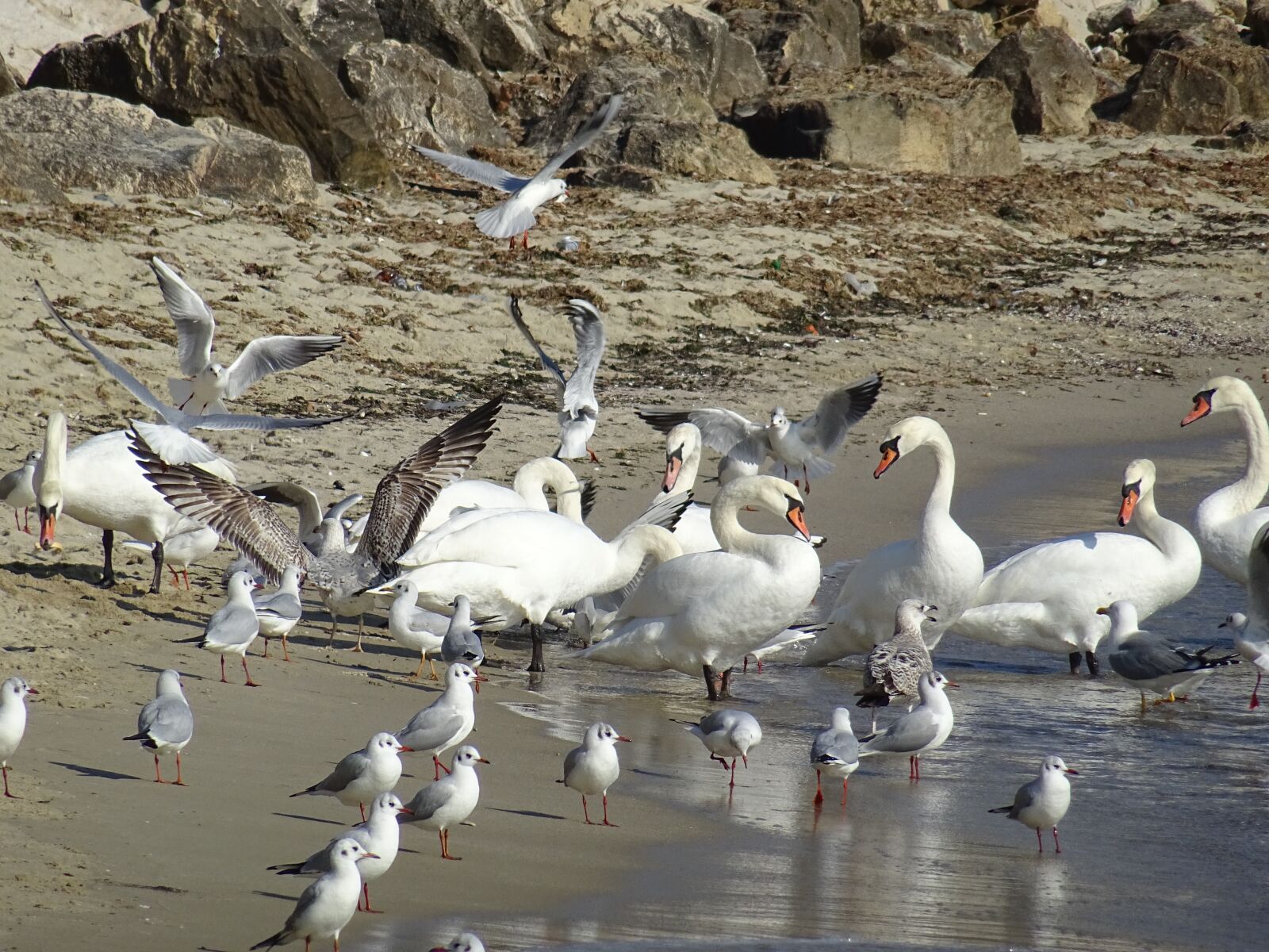 Sony DSC-HX60 sample photo. Beach, water, blu photography