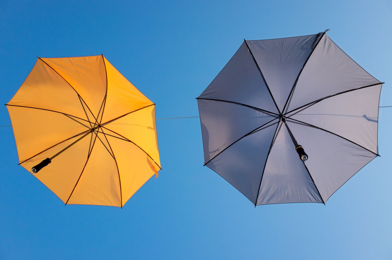 Ricoh GR sample photo. Umbrella, rain, background photography