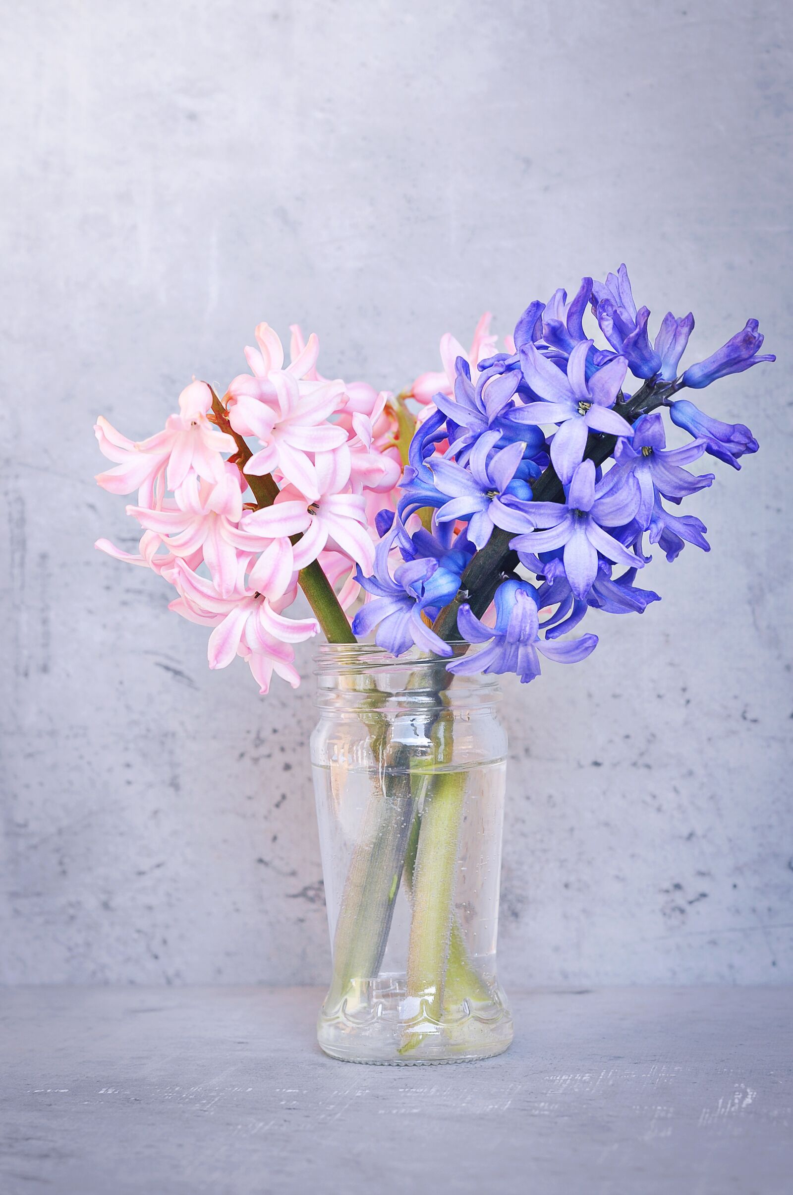 Nikon D90 sample photo. Hyacinth, pink, blue photography
