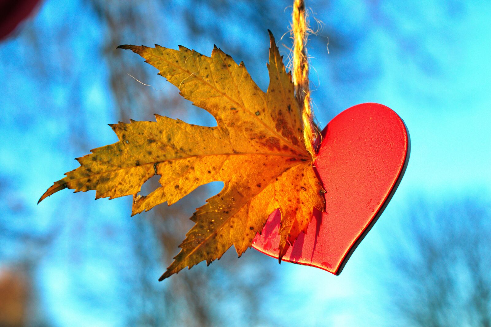 Nikon D3300 sample photo. Blue sky, love, heart photography
