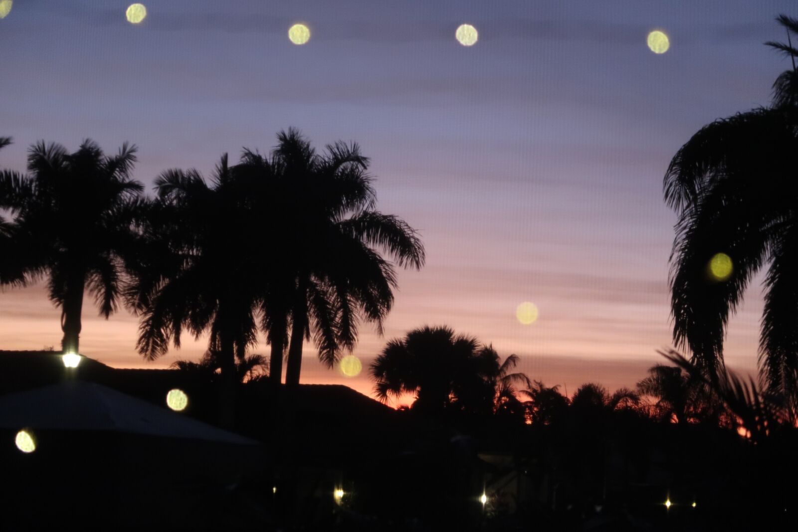 Canon PowerShot G7 X Mark II sample photo. Sunset, lighting, light photography