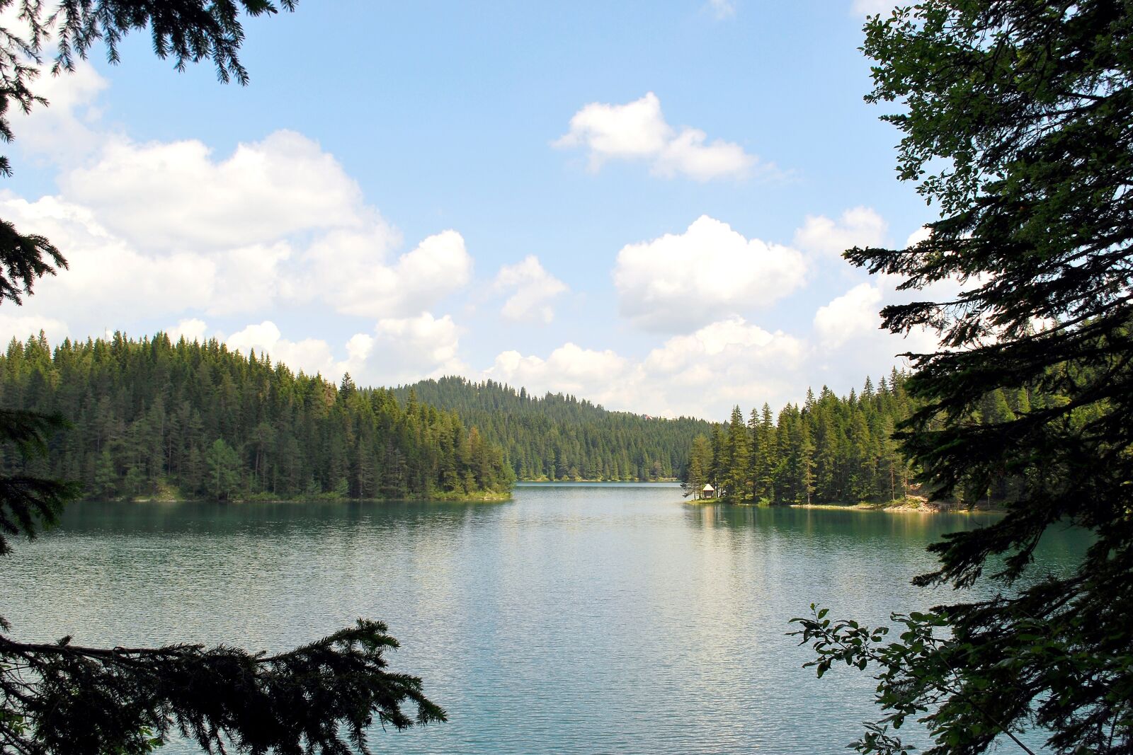 Nikon D60 sample photo. Lake, trees, water photography