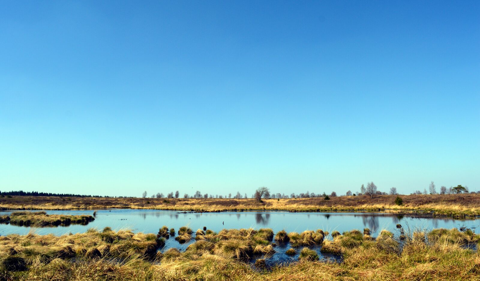 Nikon D3200 sample photo. Moor, peat bog, venn photography