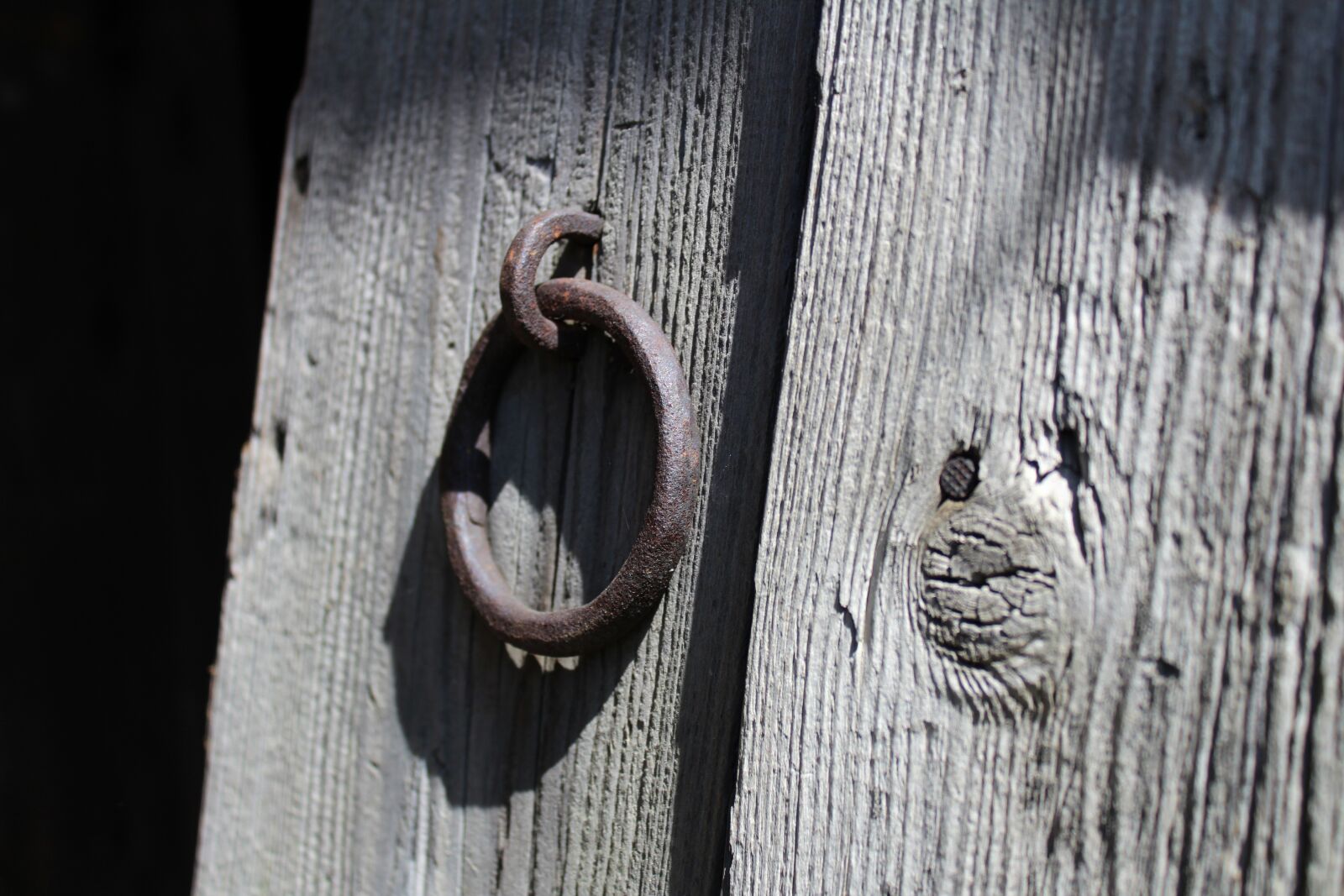 Canon EOS 1300D (EOS Rebel T6 / EOS Kiss X80) sample photo. Pattern, the background, old photography