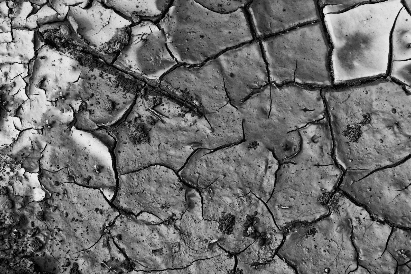Canon EOS 700D (EOS Rebel T5i / EOS Kiss X7i) sample photo. Earth, dry, drought photography