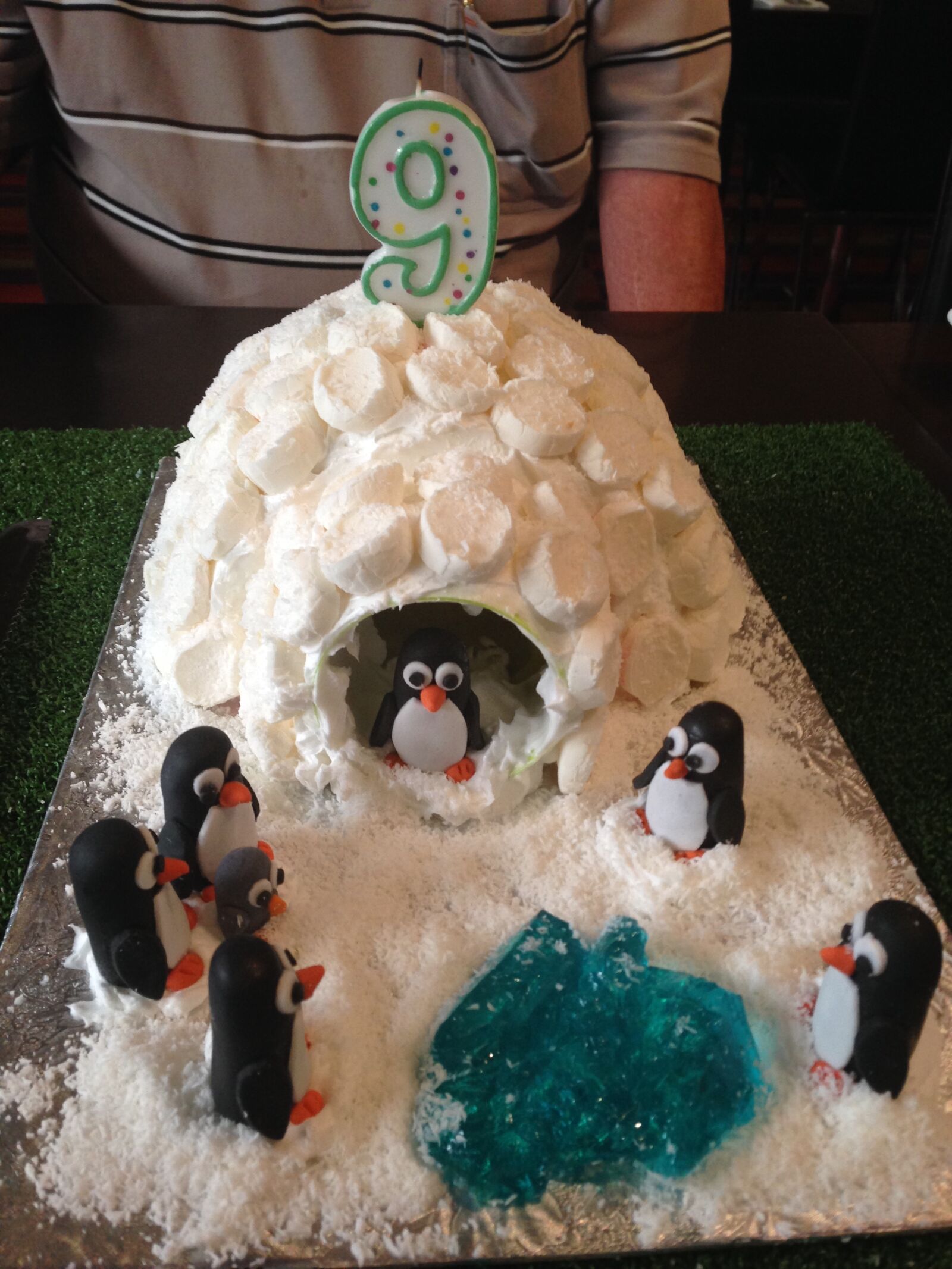 iPhone 5 back camera 4.12mm f/2.4 sample photo. Birthday, cake, penguins photography
