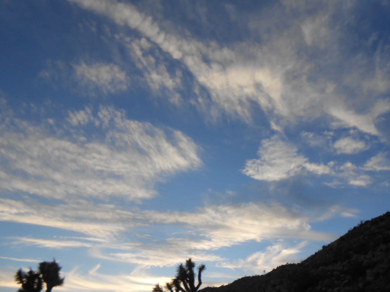 Nikon Coolpix S3300 sample photo. Desert, sky, joshua tree photography