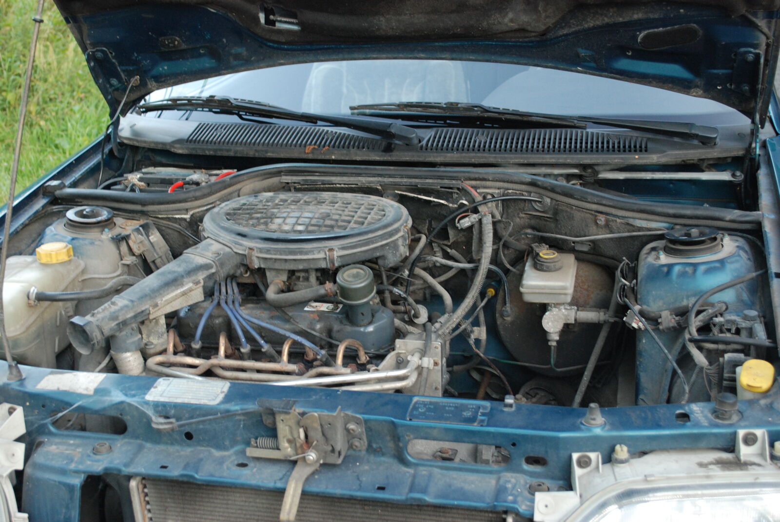 Nikon D80 sample photo