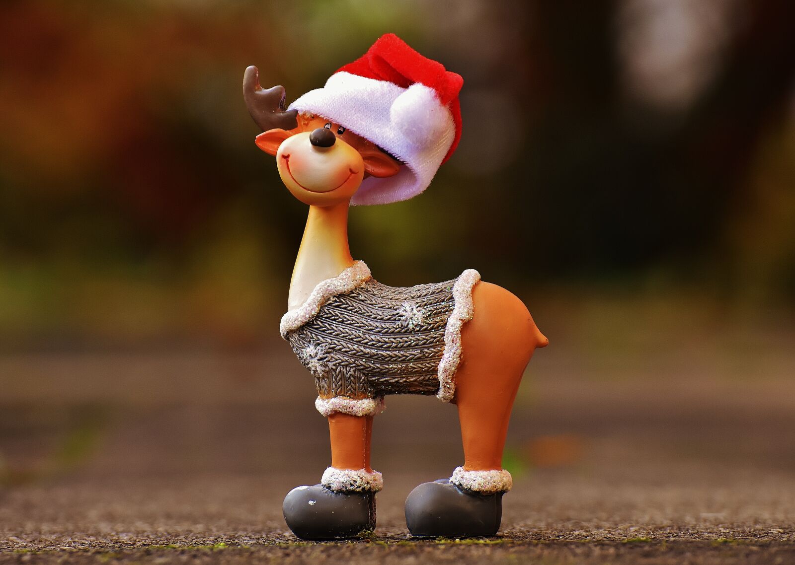 Nikon D7200 sample photo. Moose, christmas, christmas motif photography