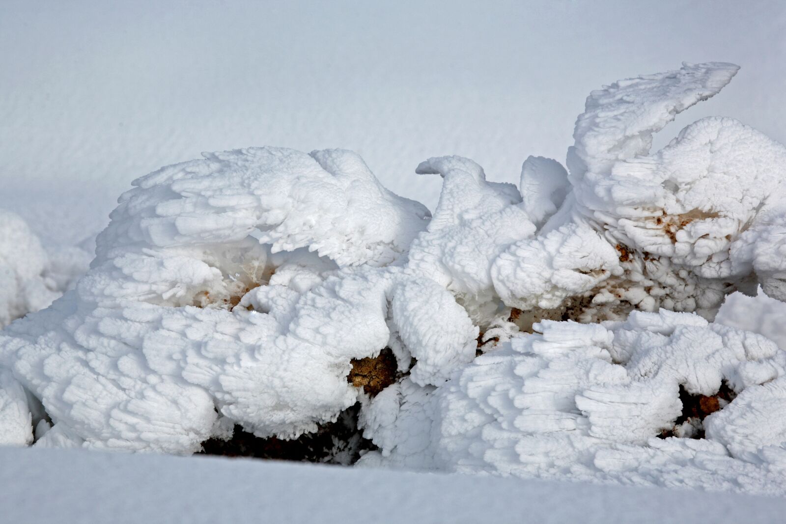 Canon EOS 5D sample photo. Snow figures, dove, wings photography