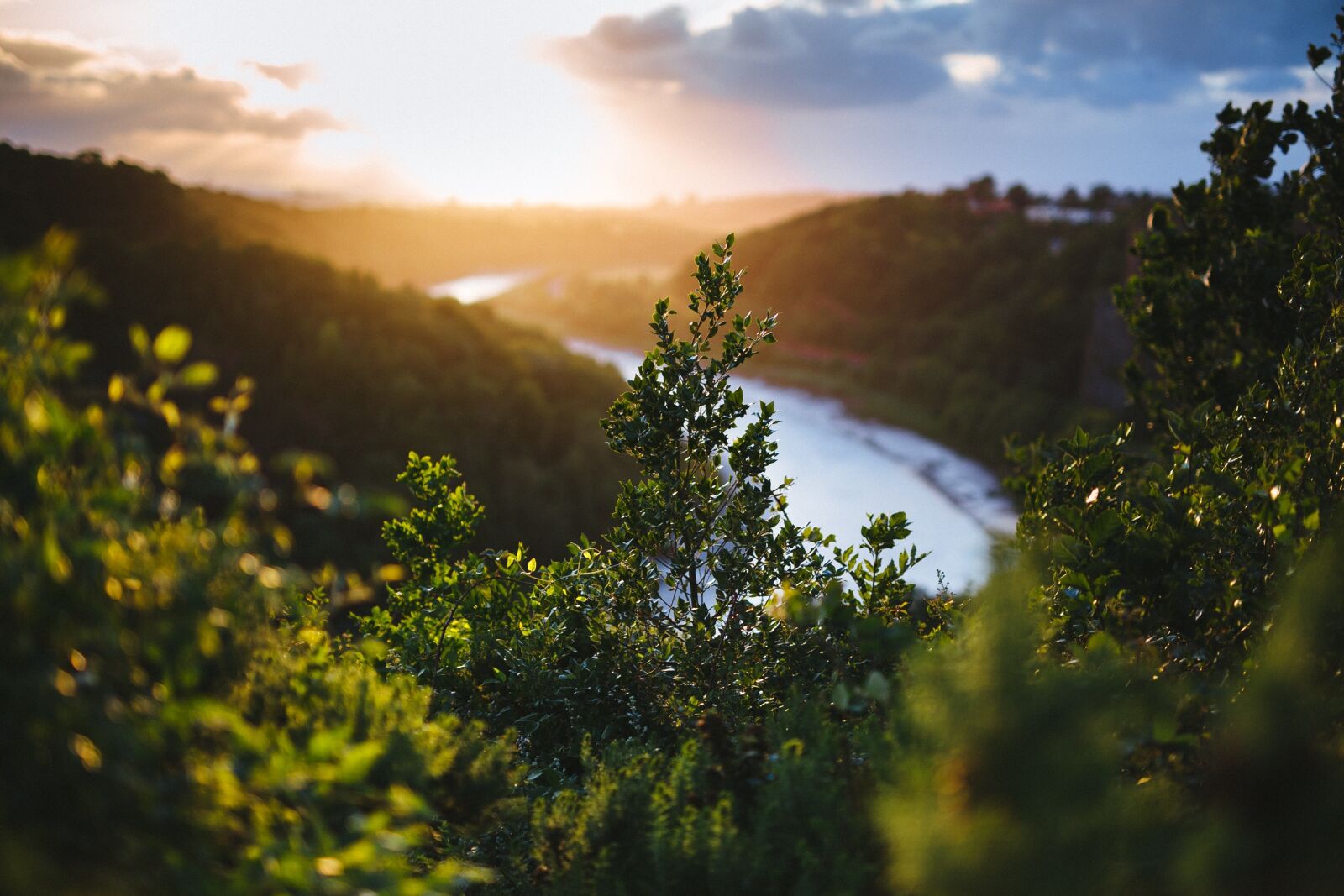 Canon EOS 6D sample photo. Depth of field, nature photography