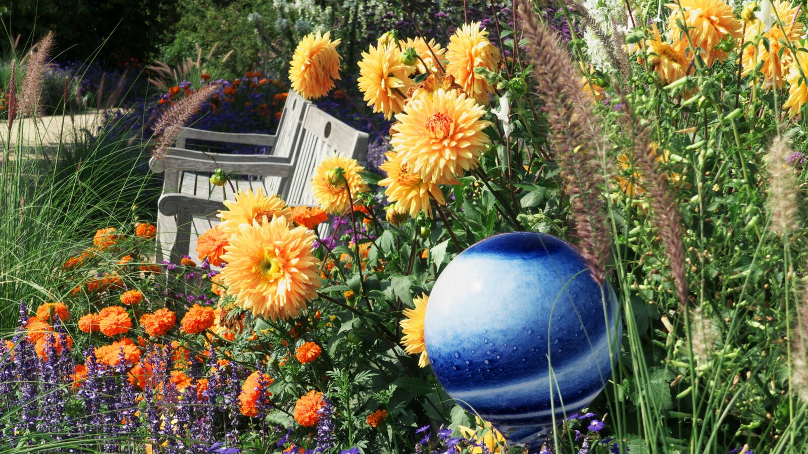 Panasonic Lumix DMC-FZ300 sample photo. Garden, flowers, design photography