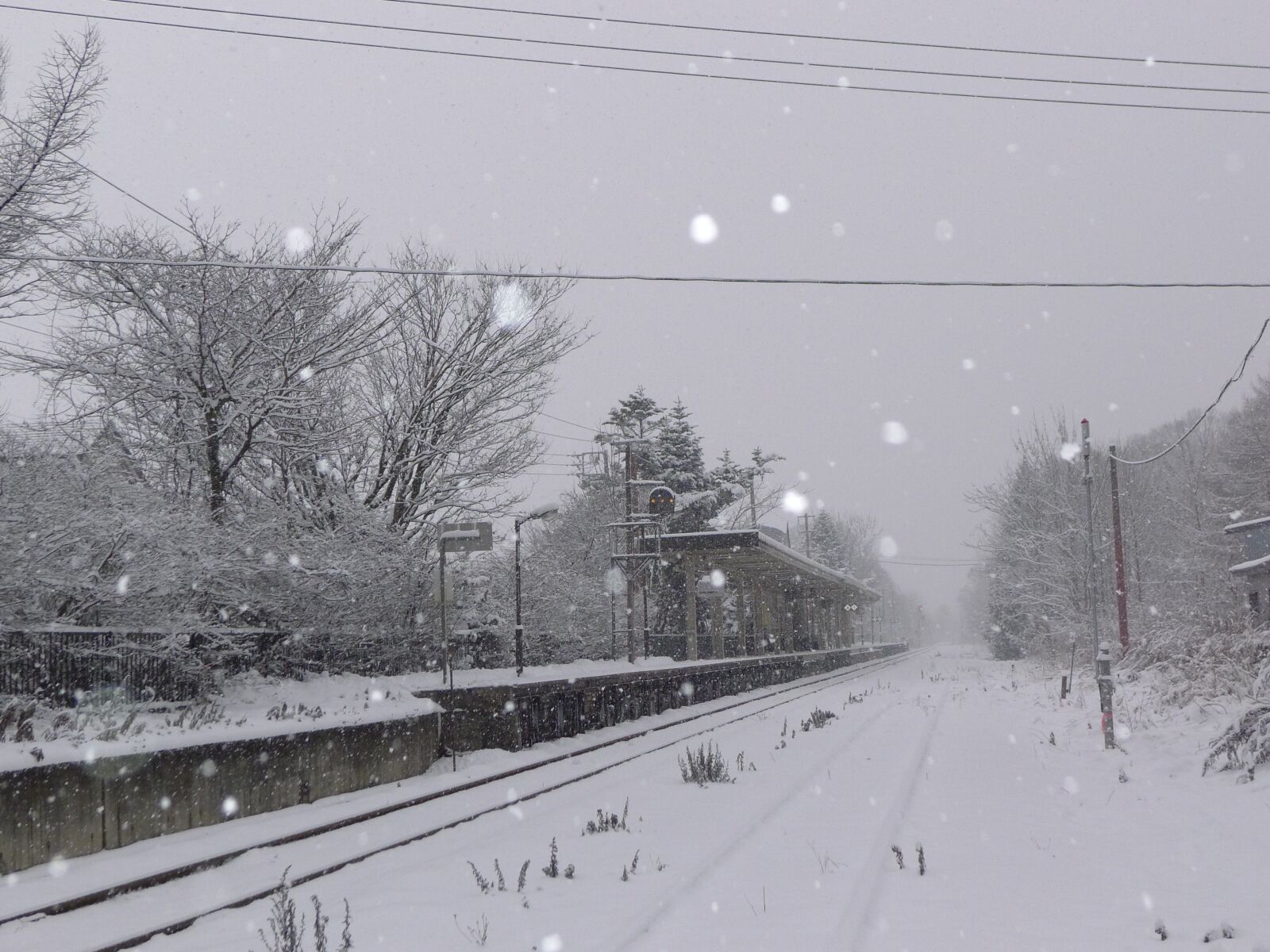 Panasonic Lumix DMC-LX5 sample photo. Japan, winter, snowing photography