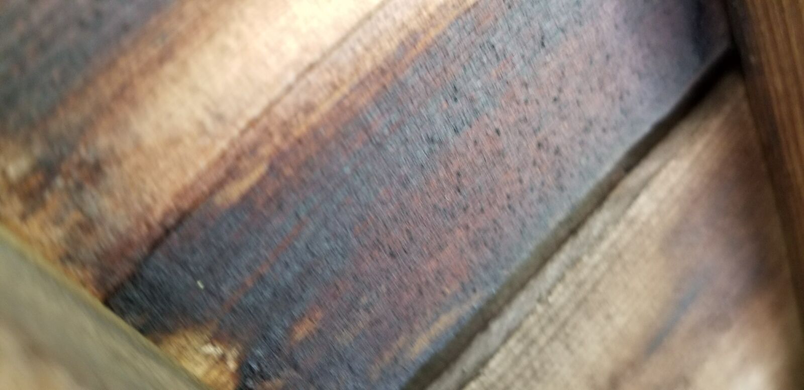 Samsung Galaxy S8 sample photo