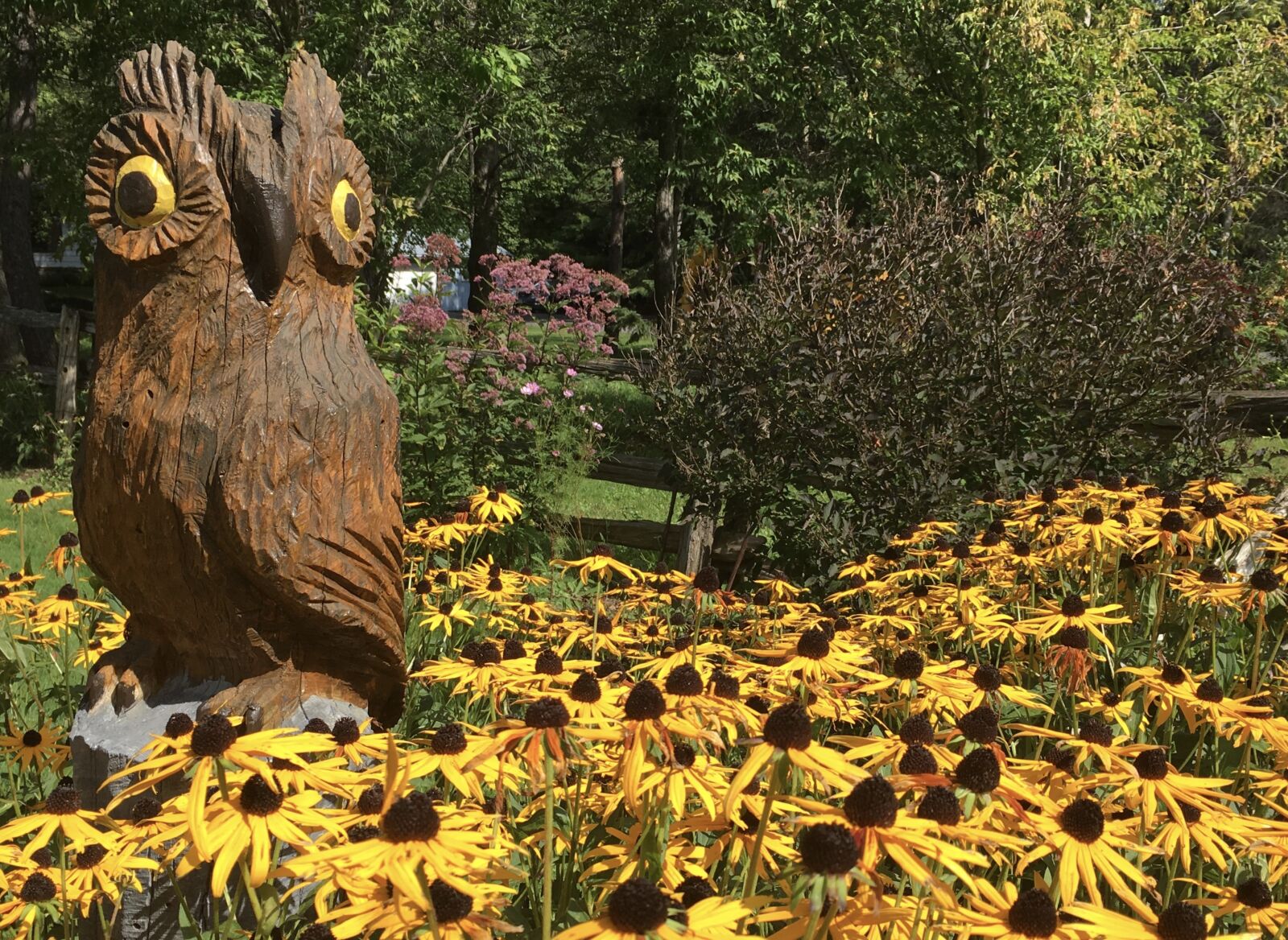 iPhone 6s back camera 4.15mm f/2.2 sample photo. Wooden carving, owl, figurine photography
