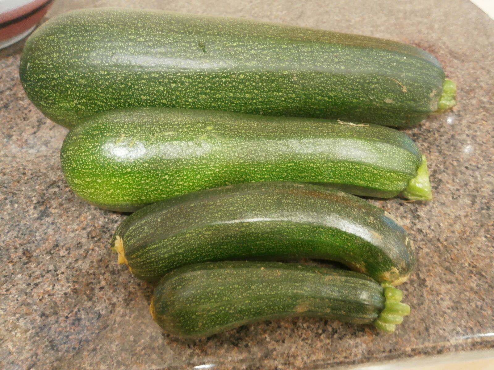Olympus VG170 sample photo. Courgette, zucchini, vegetables photography