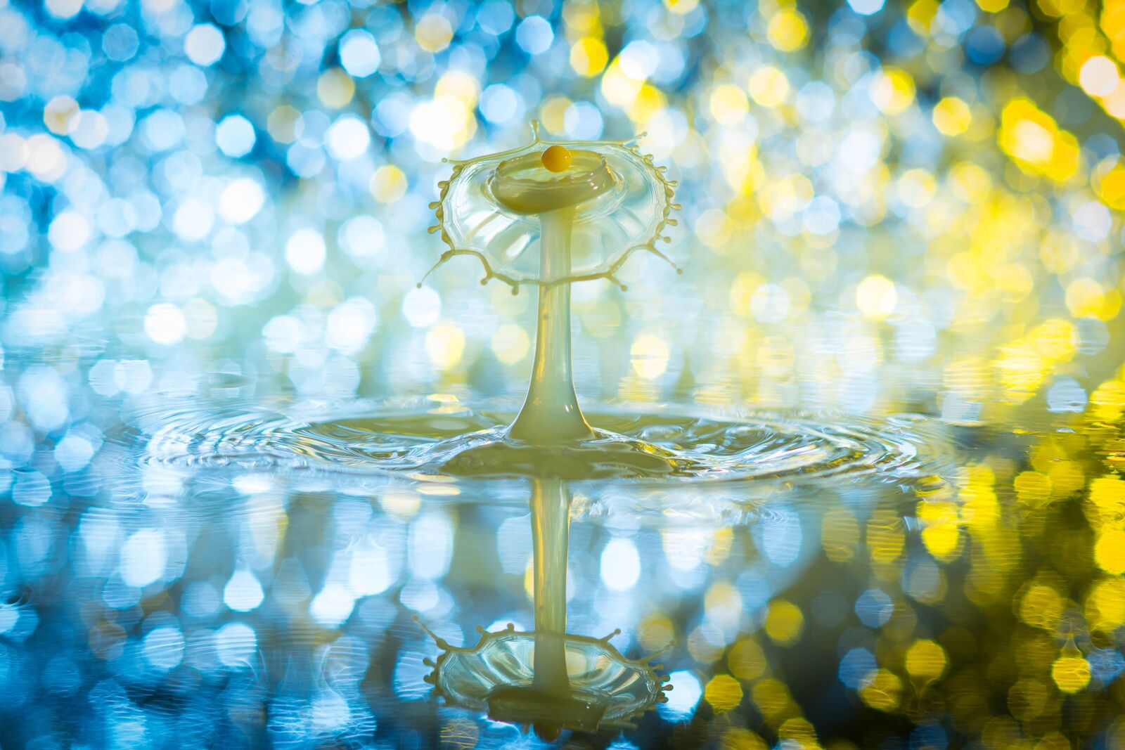 Nikon D7100 sample photo. Drip, high speed, liquid photography