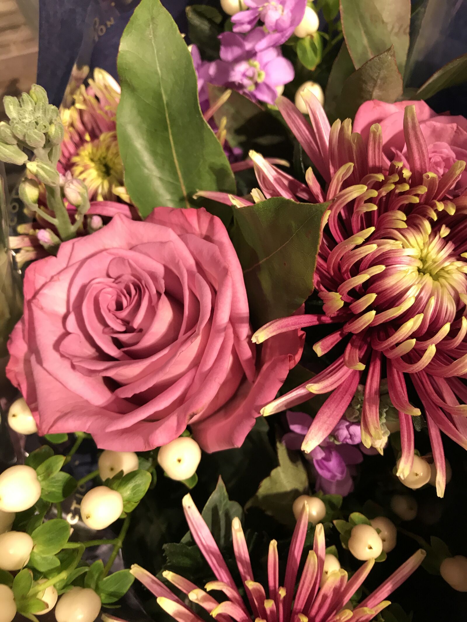 iPhone 7 Plus back dual camera 3.99mm f/1.8 sample photo. Flowers, bouquet, roses photography