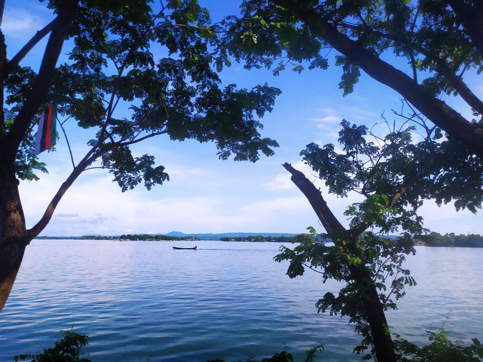 Xiaomi Redmi Note 7 sample photo. Beautiful, lake, tree photography