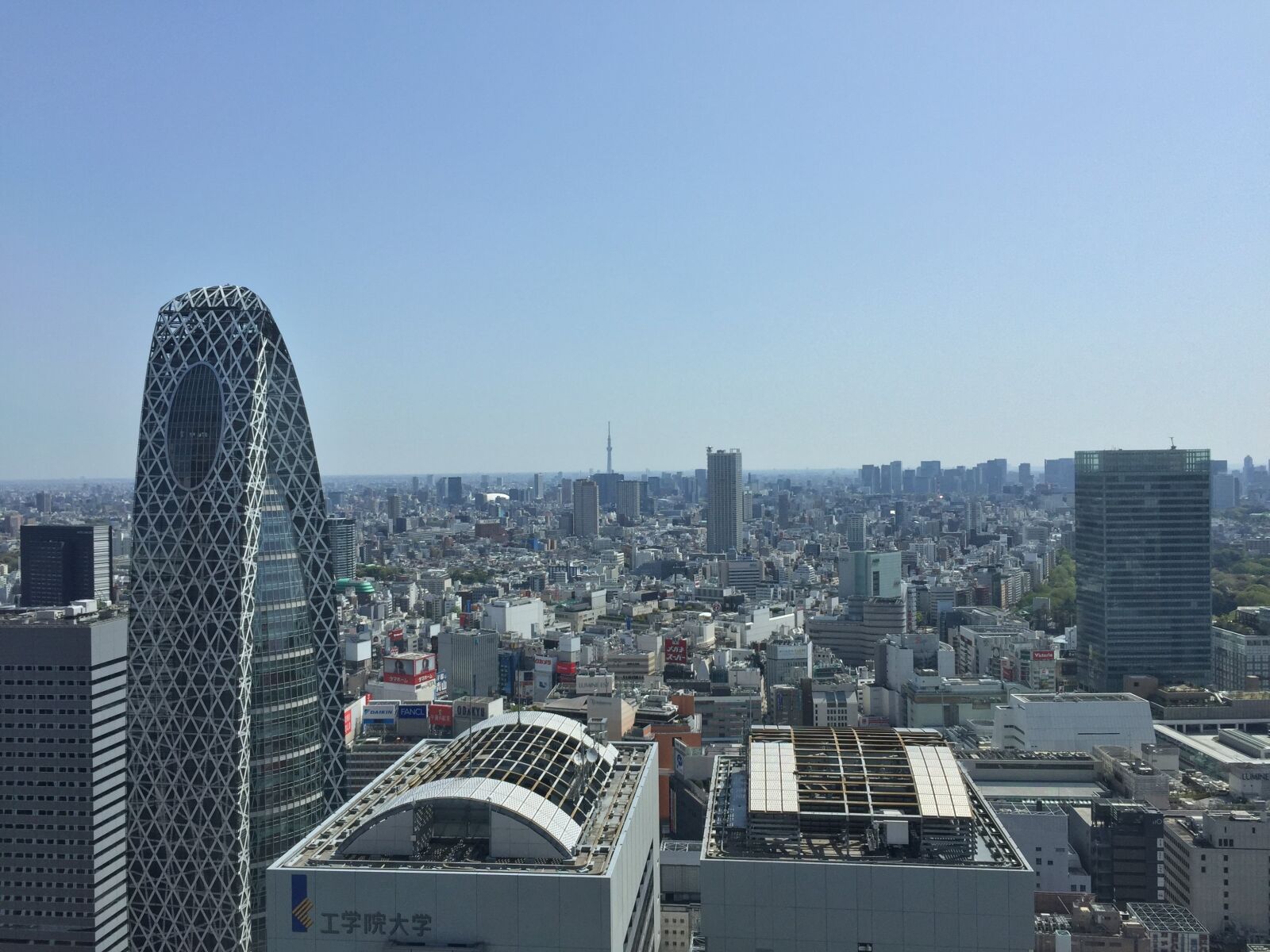 Apple iPhone 6 sample photo. Tokyo, building, japan photography