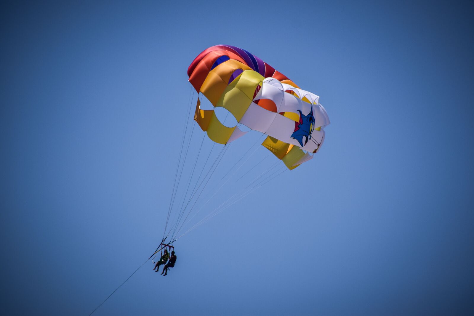 Nikon D5300 sample photo. Parachute, colored, colorful photography