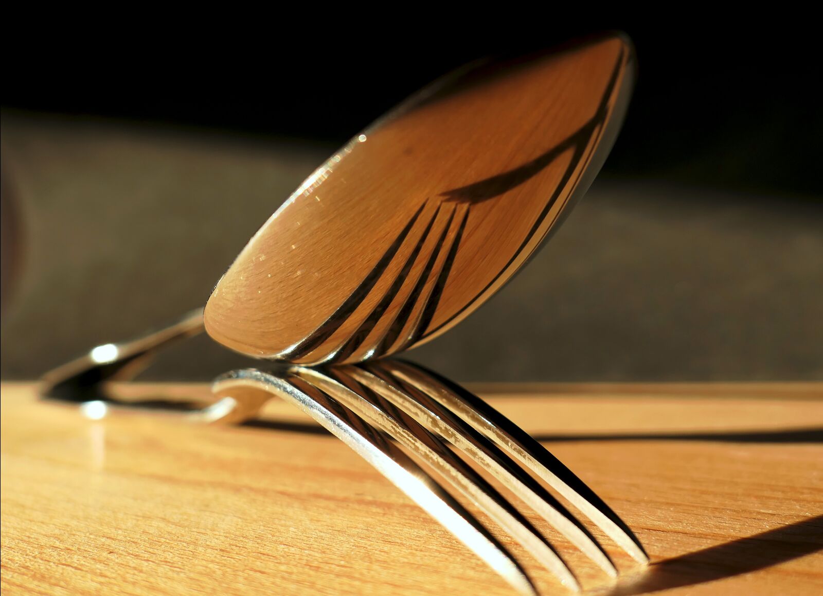 Leica V-LUX 1 sample photo. Fork, spoon, cutlery photography