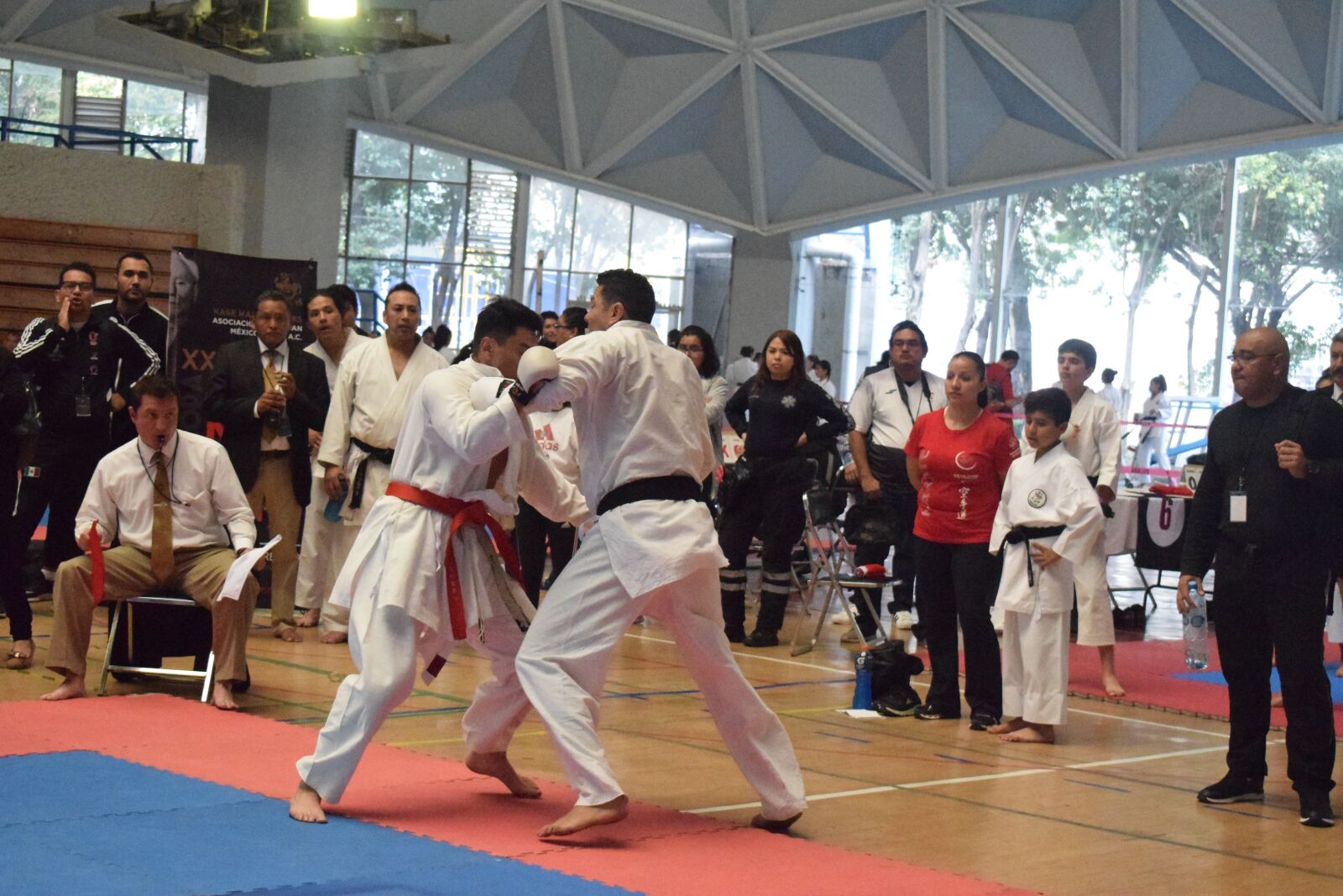 Nikon D3300 sample photo. Kumite, karate competition, shotokan photography