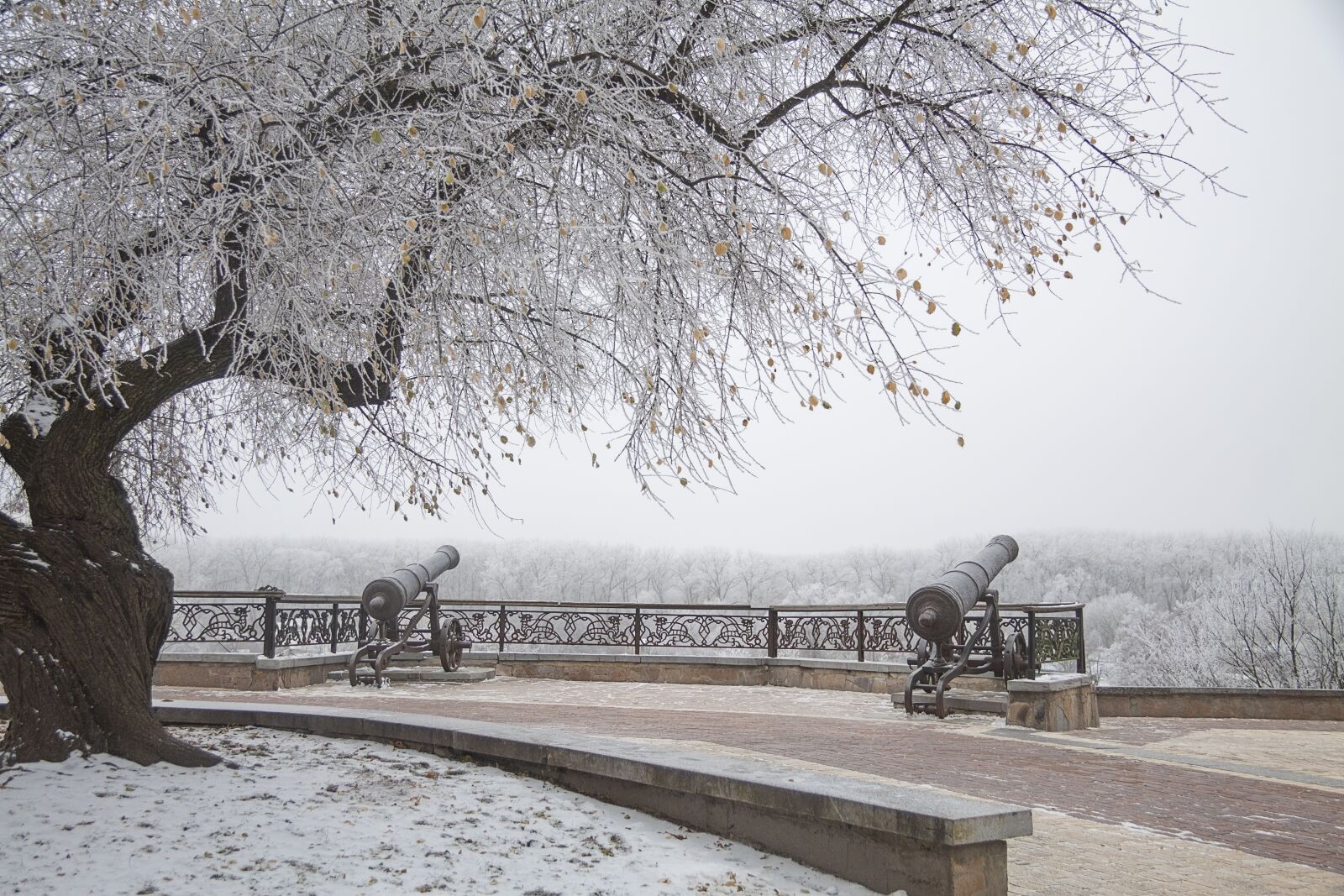 Canon EF-S 17-85mm F4-5.6 IS USM sample photo. Park, winter, cannon photography