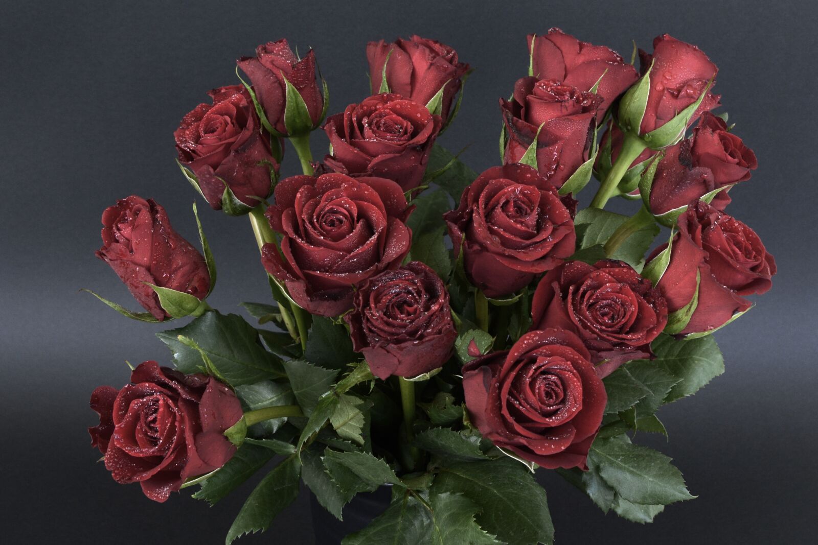 Nikon D7100 sample photo. Roses, drip, bouquet of photography