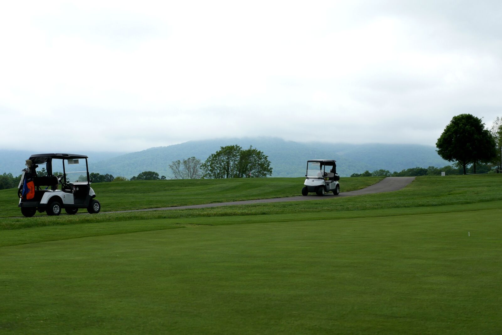 Panasonic Lumix DMC-GH4 sample photo. Golf, golf cart, golfing photography