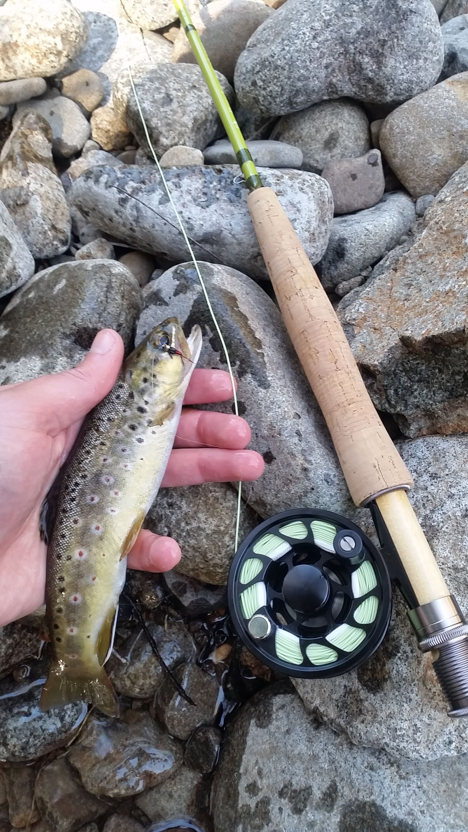 Samsung Galaxy S5 sample photo. Fly fishing gear, fly photography