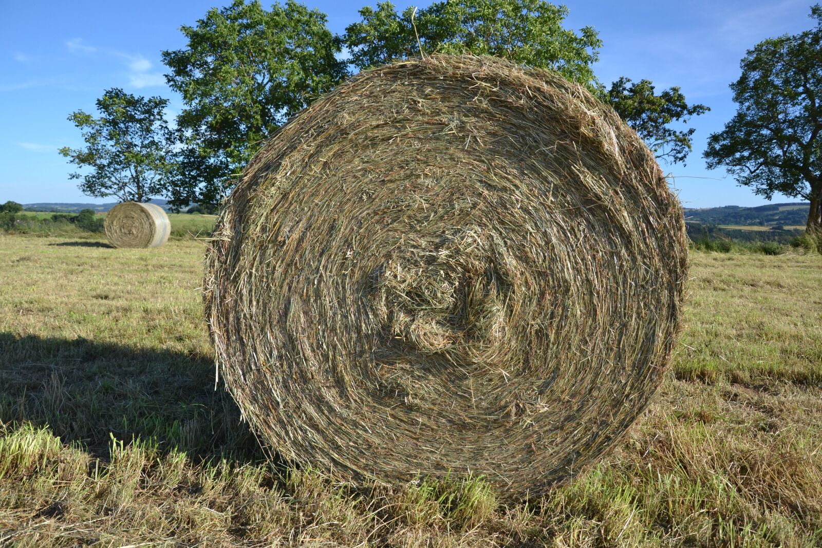 Nikon D3100 sample photo. Hay, roller, nature photography