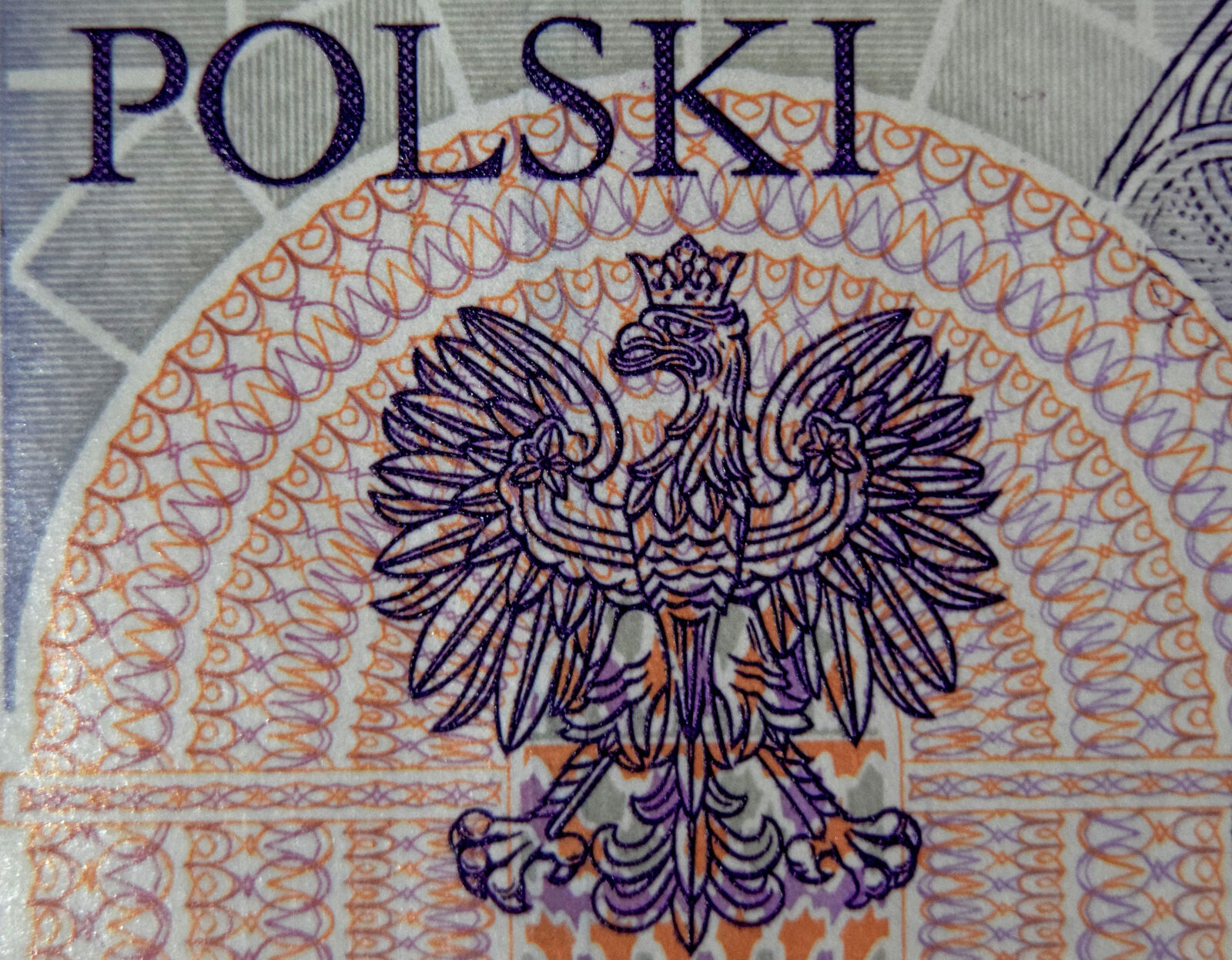 Nikon D3300 sample photo. Banknote, eagle, emblem, money photography