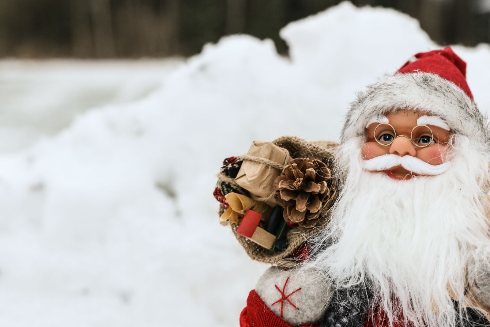 Canon EOS 7D Mark II sample photo. Santa, winter, snow photography