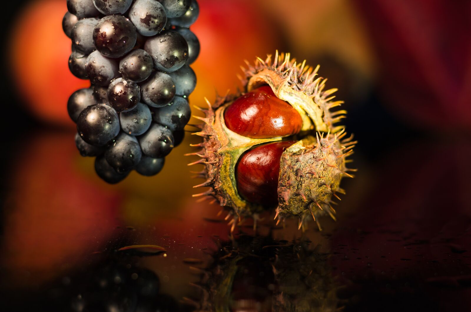 Nikon D5100 sample photo. Autumn, grape, maroni photography