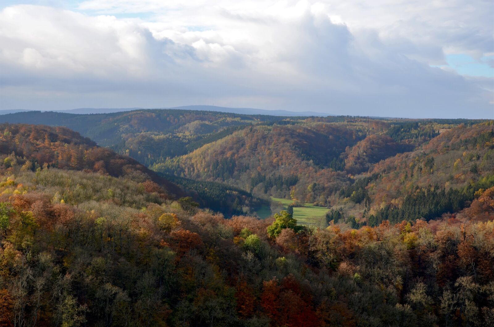 Nikon D5100 sample photo. Autumn, forest, resin photography