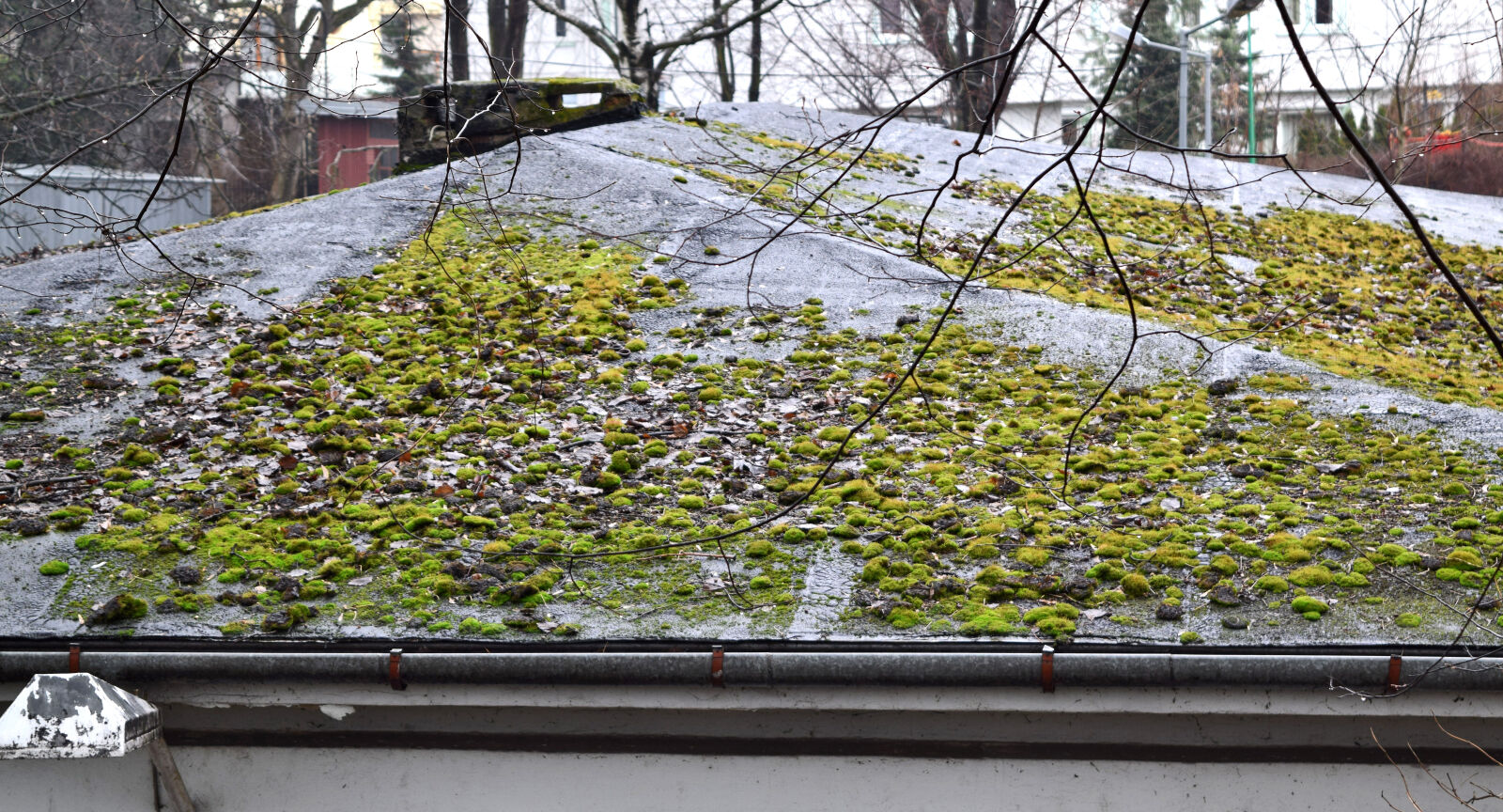 Nikon D3300 sample photo