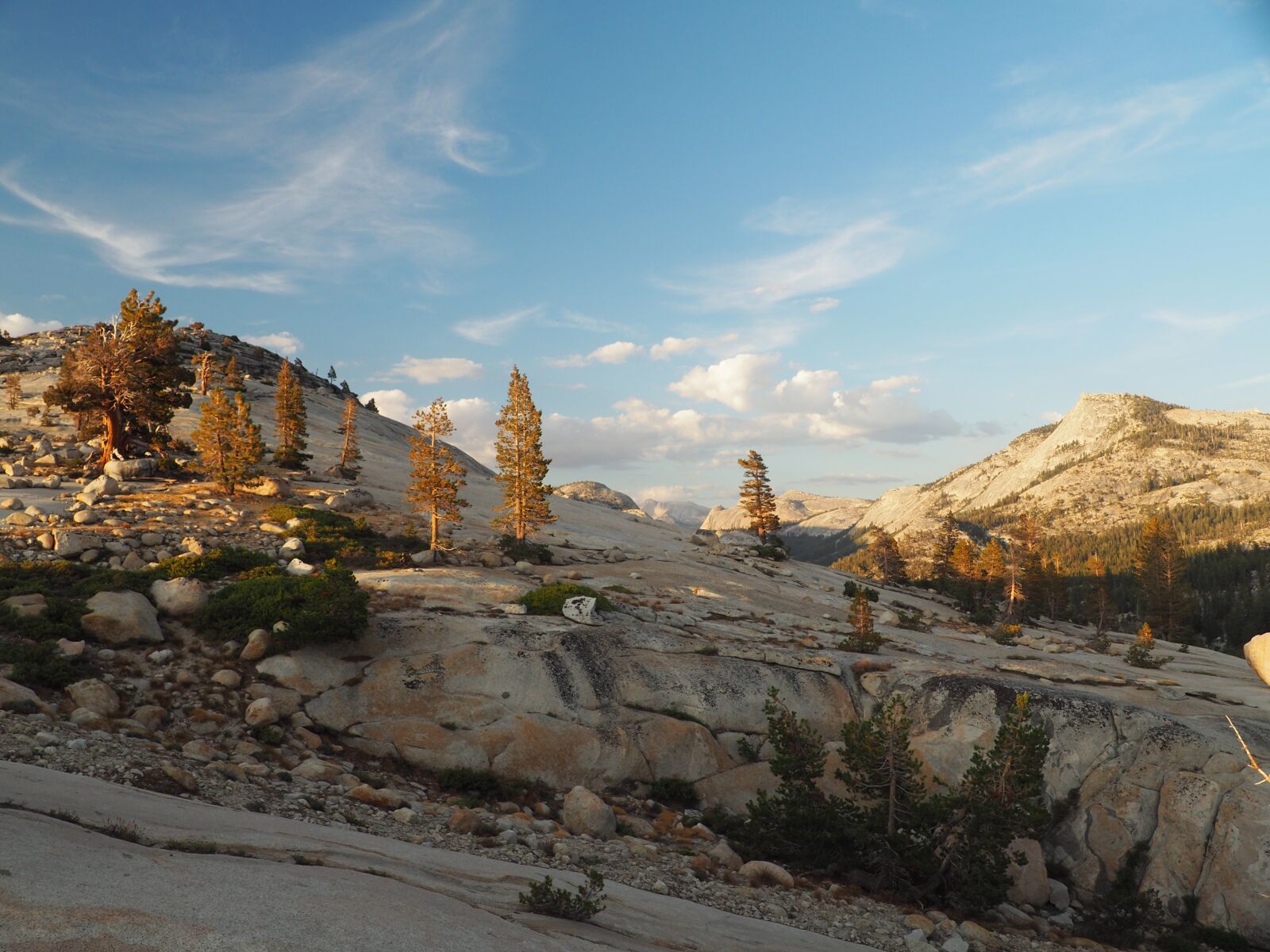 Olympus OM-D E-M10 II sample photo. Yosemite, nature, landscape photography