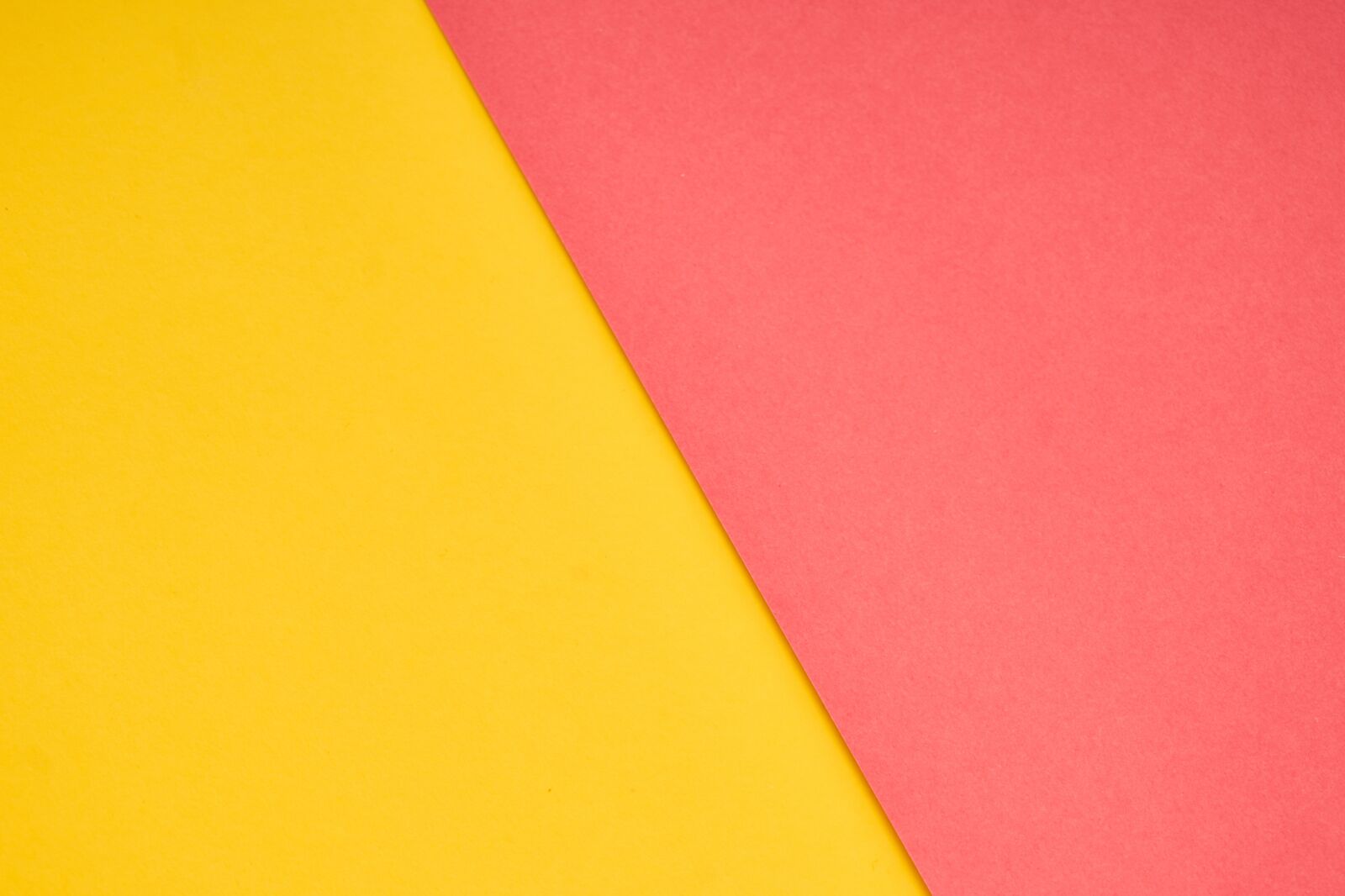 Sony a7R II sample photo. Background, colors, texture photography