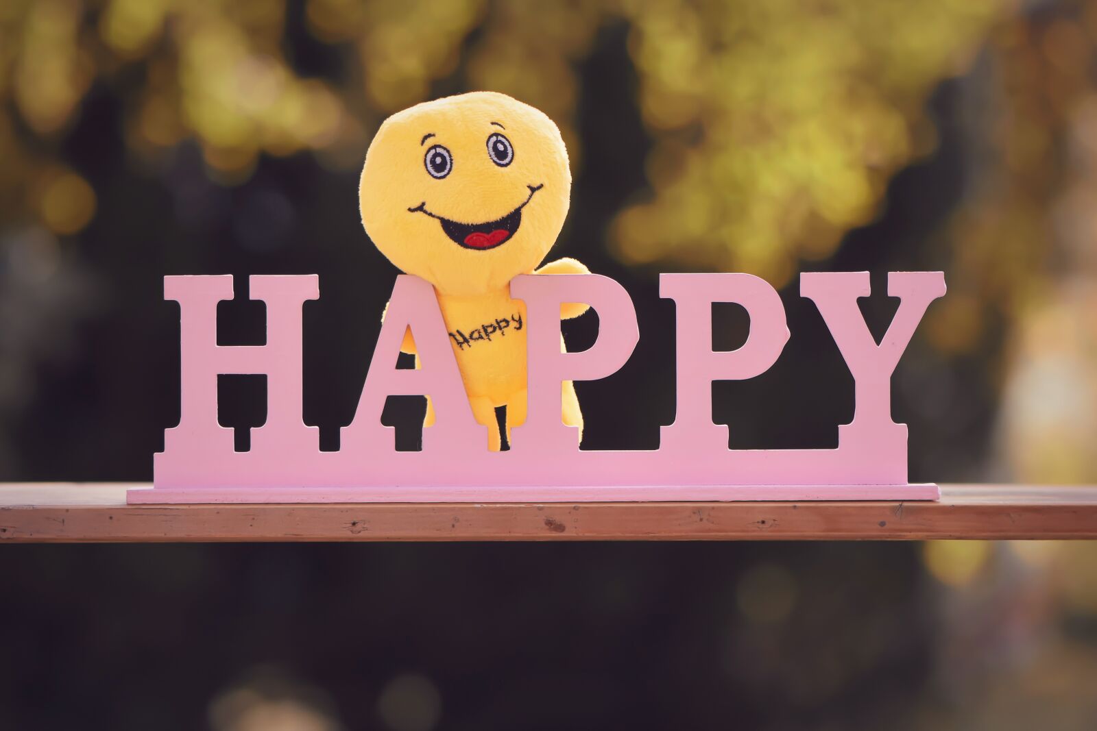Nikon D7200 sample photo. Happy, cheerful, emotion photography