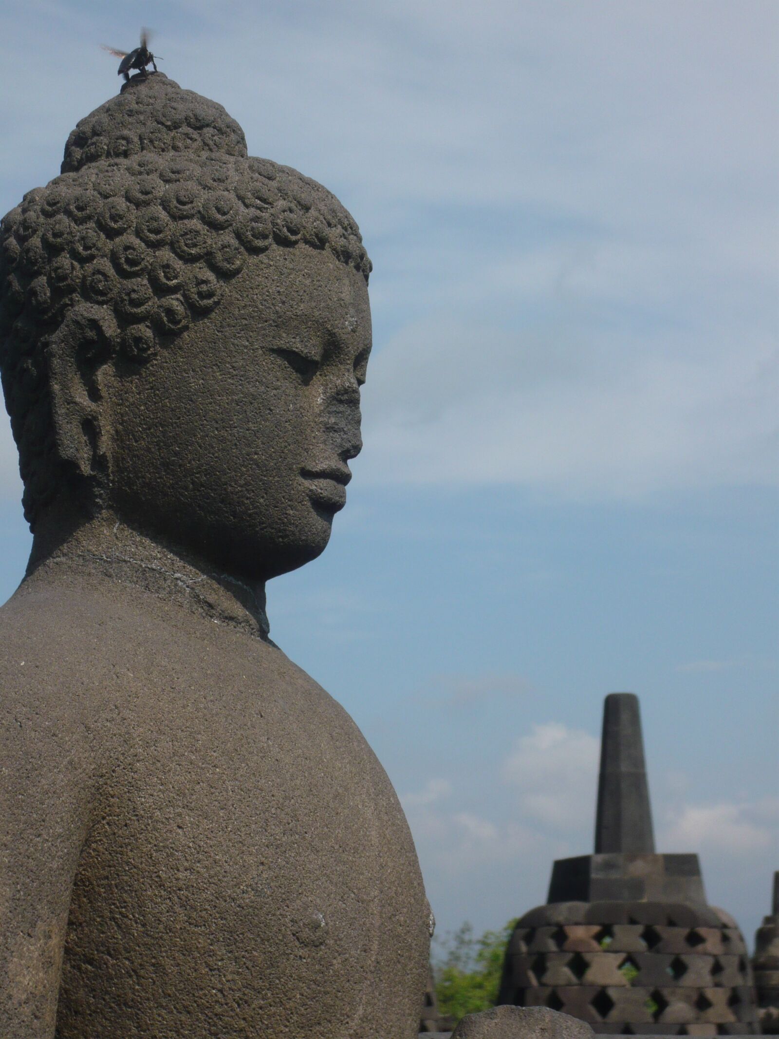 Panasonic DMC-FX33 sample photo. Bali, buddha statue, borobudur photography
